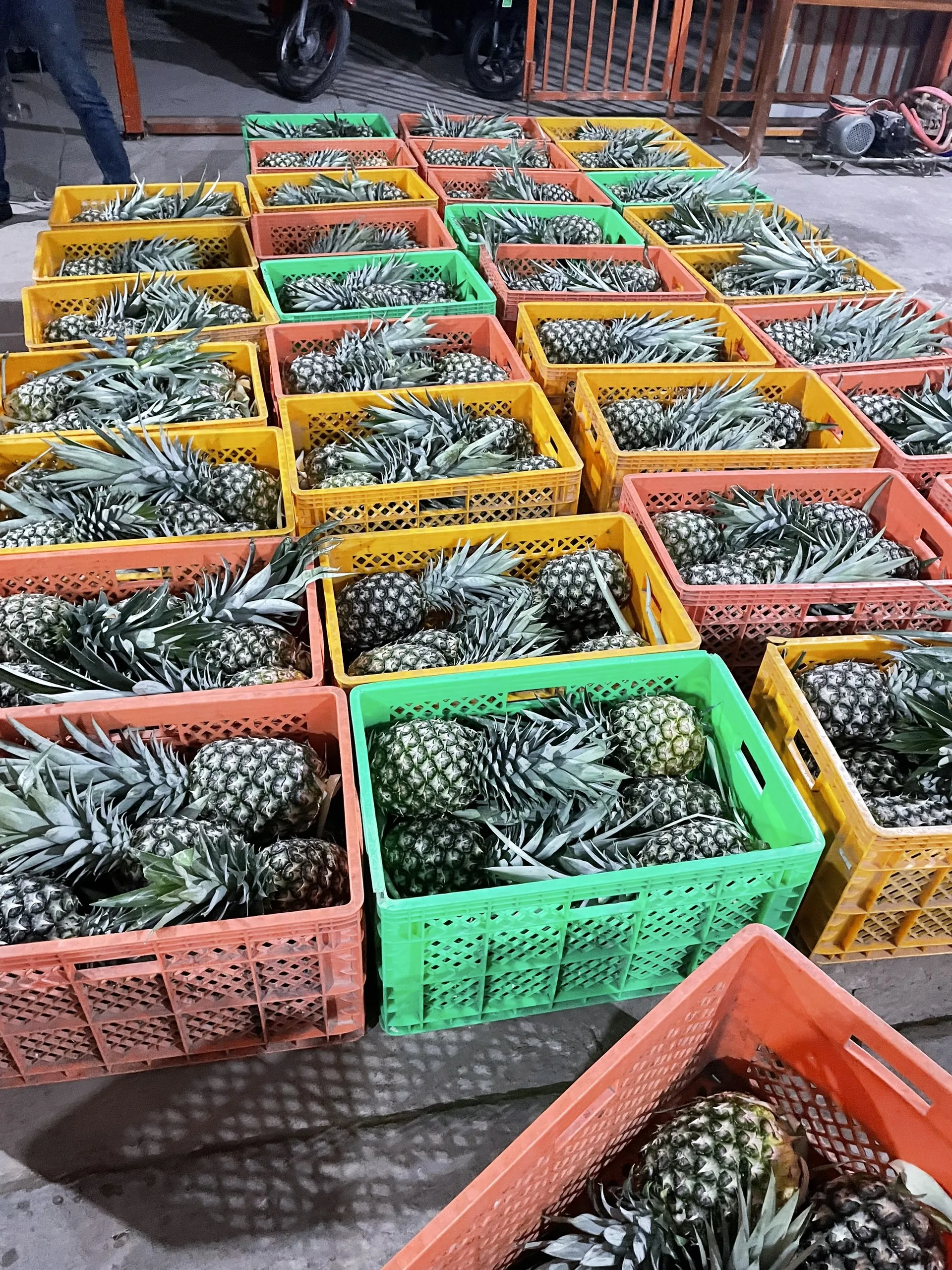 Оптовая продажа свежих мягких сладких ананасов MD2 с сроком годности 90 дней с запада Вьетнама