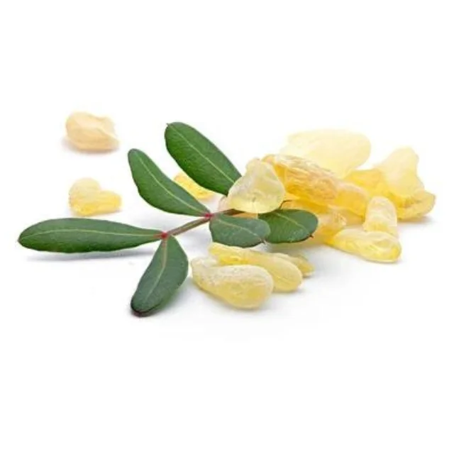 Buy Bulk Wholesale price MASTIC ESSENTIAL OIL from india largest manufacture kanha nature oils