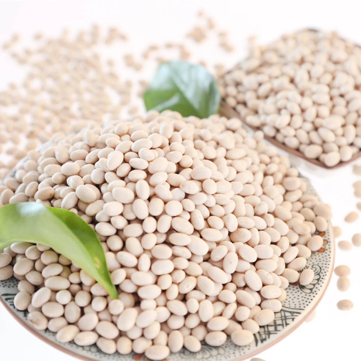 All Season Eatable Big Sized Black Eye Beans As Kidney in Fresh Quality New Price