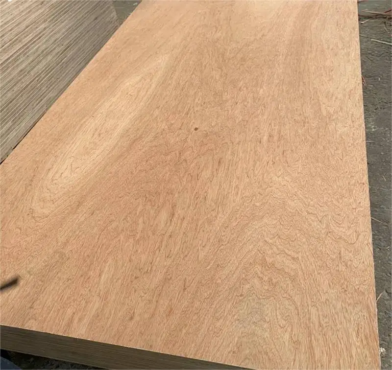 bintangor Okoume plywood affordable custom thickness FSC certified