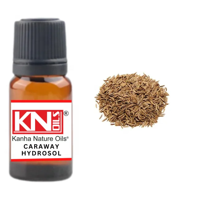 Buy CARAWAY HYDROSOL at Wholesale price  from india famous and largest manufacture kanha nature oils