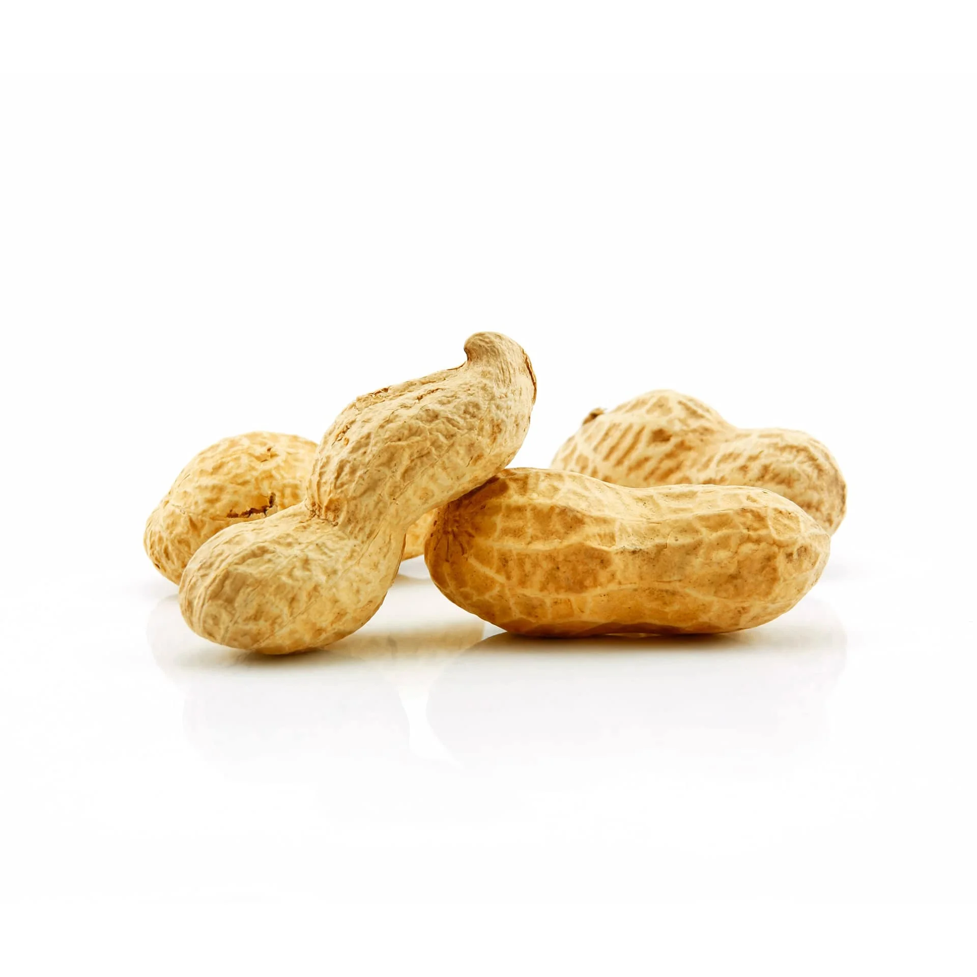 Best Price Premium Quality Fresh natural raw Dried New Crop Peanut for food Sale Bulk Reasonable Price Pure Peanut