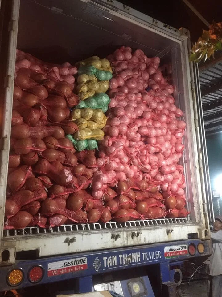 Big Supply Competitive Price Dry Brown Semi Husked Coconut With Tight Export Standard From Vietnam Best Seller