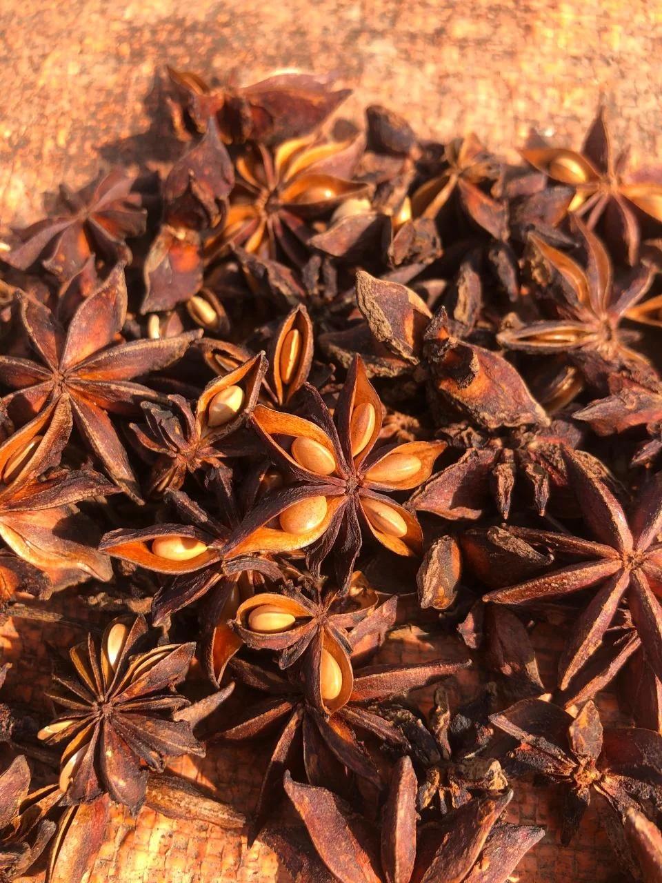 Лучшая цена на рынке звездного аниса с полным экспортным сертификатом от надежного поставщика-Ms Ruby + 84 359318390