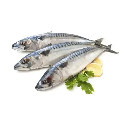 supply Horse Mackerel Frozen Horse Mackerel Fish Frozen Pacific Atka Mackerel Fish Cut