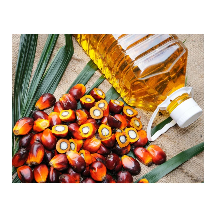 Cheap Price Crude Palm Oil Supplier & Distributor