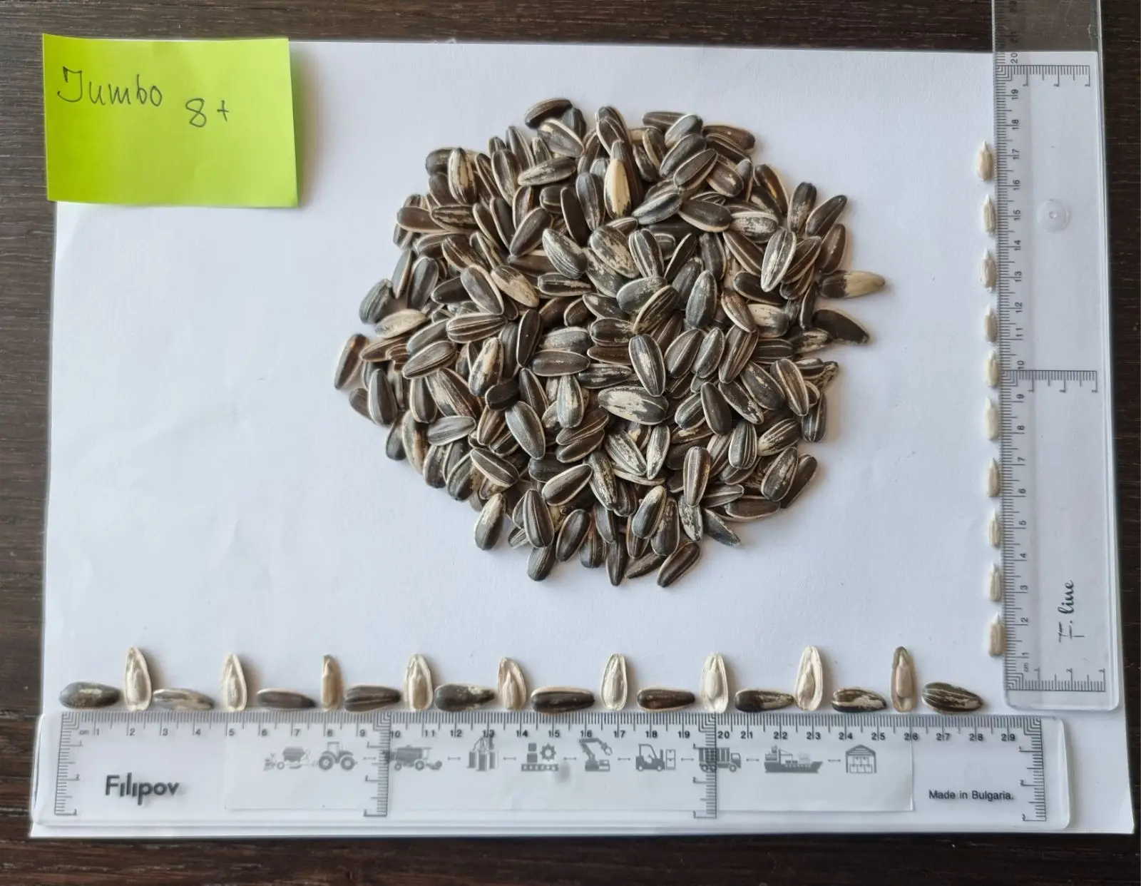 Bird Food Sunflower Seed Wholesale Top Quality Packaging Bulgarian Origin Animal Feed Small Size Sunflower seeds
