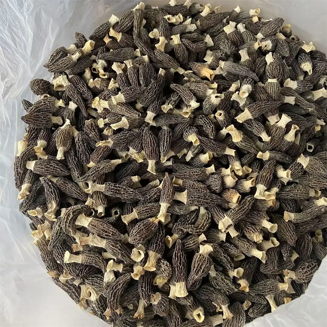 High End Wholesale Price Morels Organic Dried Morels Morels Black Mushrooms AD Black Mushroom Growing Bag Carton, Bag IQF Yunnan