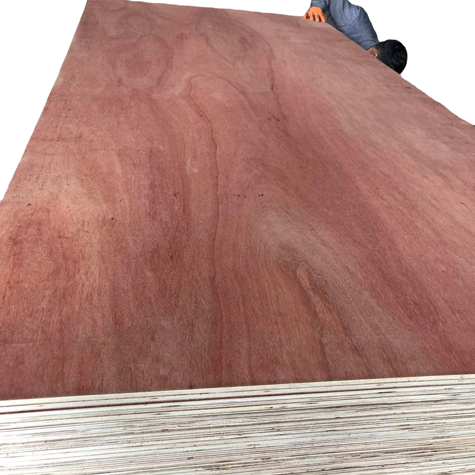 Super High Quality Commercial Plywood Bintangor Plywood For Furniture Origin Vietnam