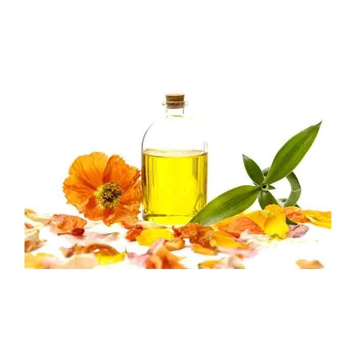 High Quality Cheap Wholesale Price Refined Camellia Seed Oil For sale