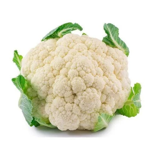 Bulk Stock Available Of Fresh Vegetables Cauliflower At Wholesale Prices