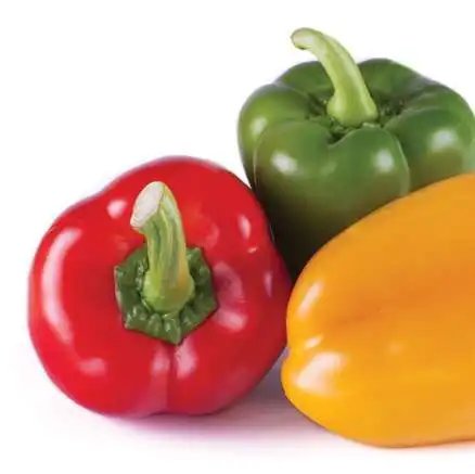 Manufacturer Quality Choice Fresh Red Hot Chili Pepper for Delicious Food Cooking from Vietnam Wholesale with Reasonable Price