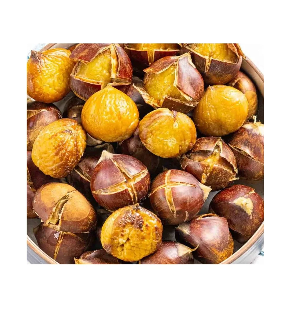 High Quality wholesale price good quality chestnut fresh chestnut