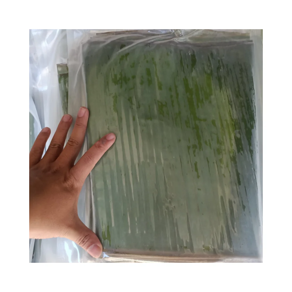Wholesale Price Banana Leaf From Vietnam | Big Size bamboo Leaf For making Cake