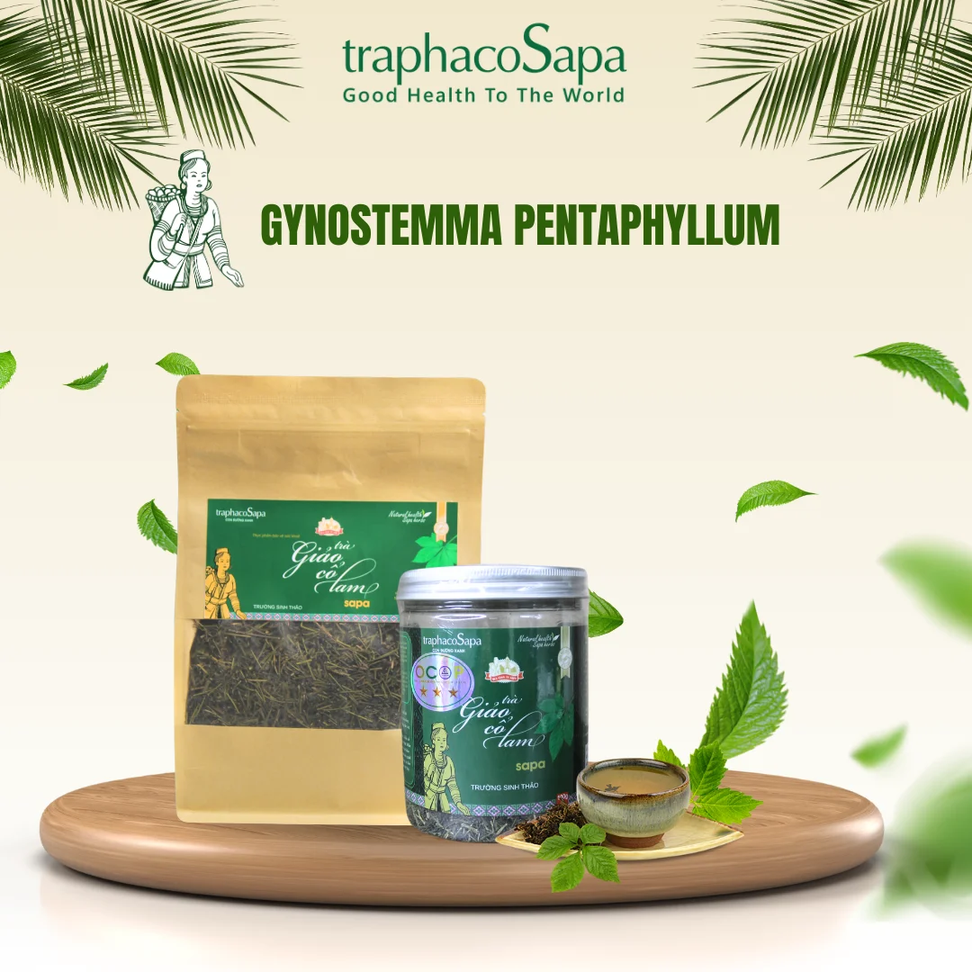 36-месячный Срок годности для здоровья 100% Herba Gynostemmae 100 г в бутылке Вьетнамский Чай Sapa Gynostemma pentaphyllum