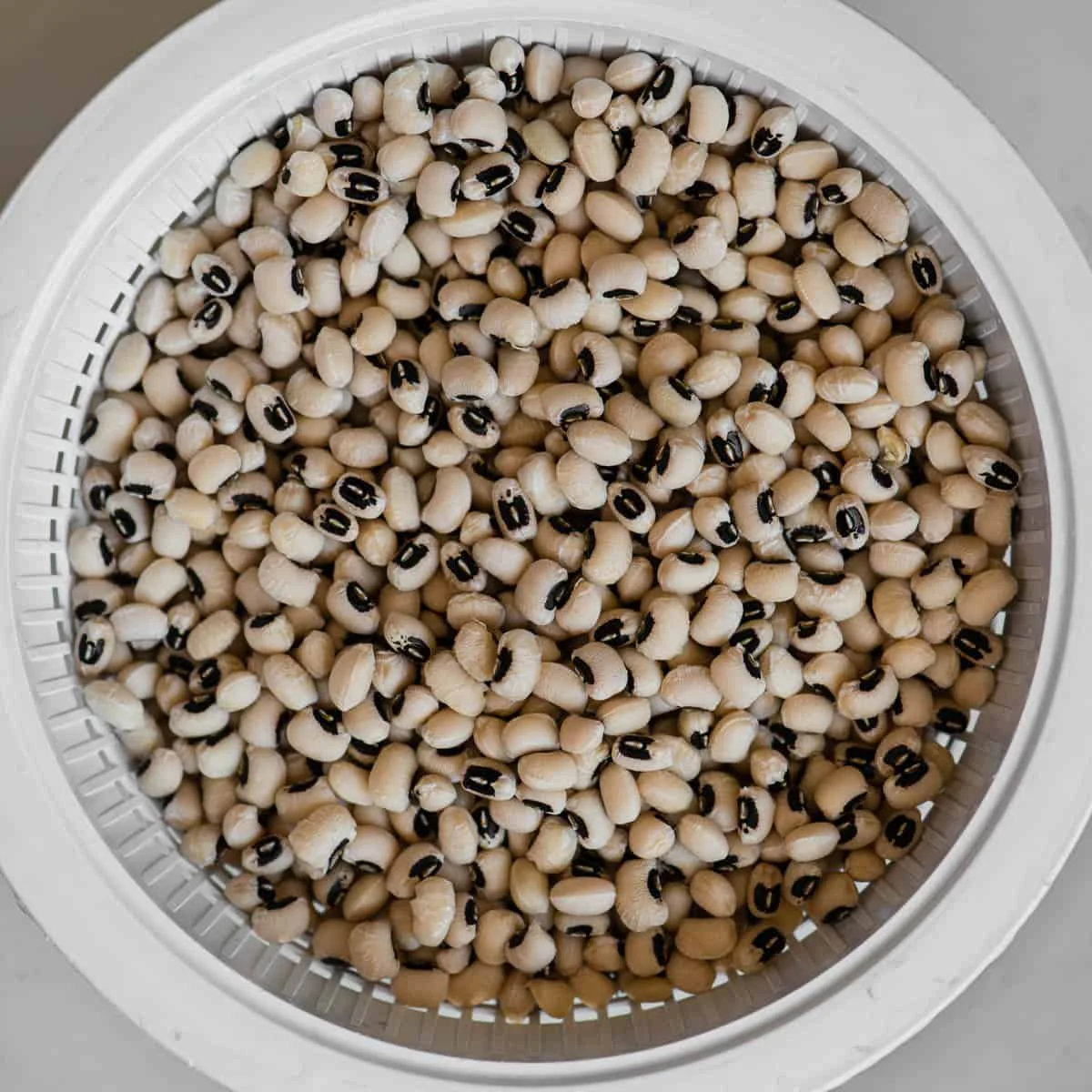 Purchase Dried Black Eyed Peas High Quality Black Eyed Peas for All Your Cooking and Food Preparation Needs