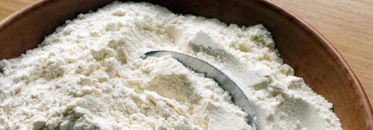 Great Quality White Color Flour Wheat Vital Wheat Gluten Flour With Low Price With Customize Packing