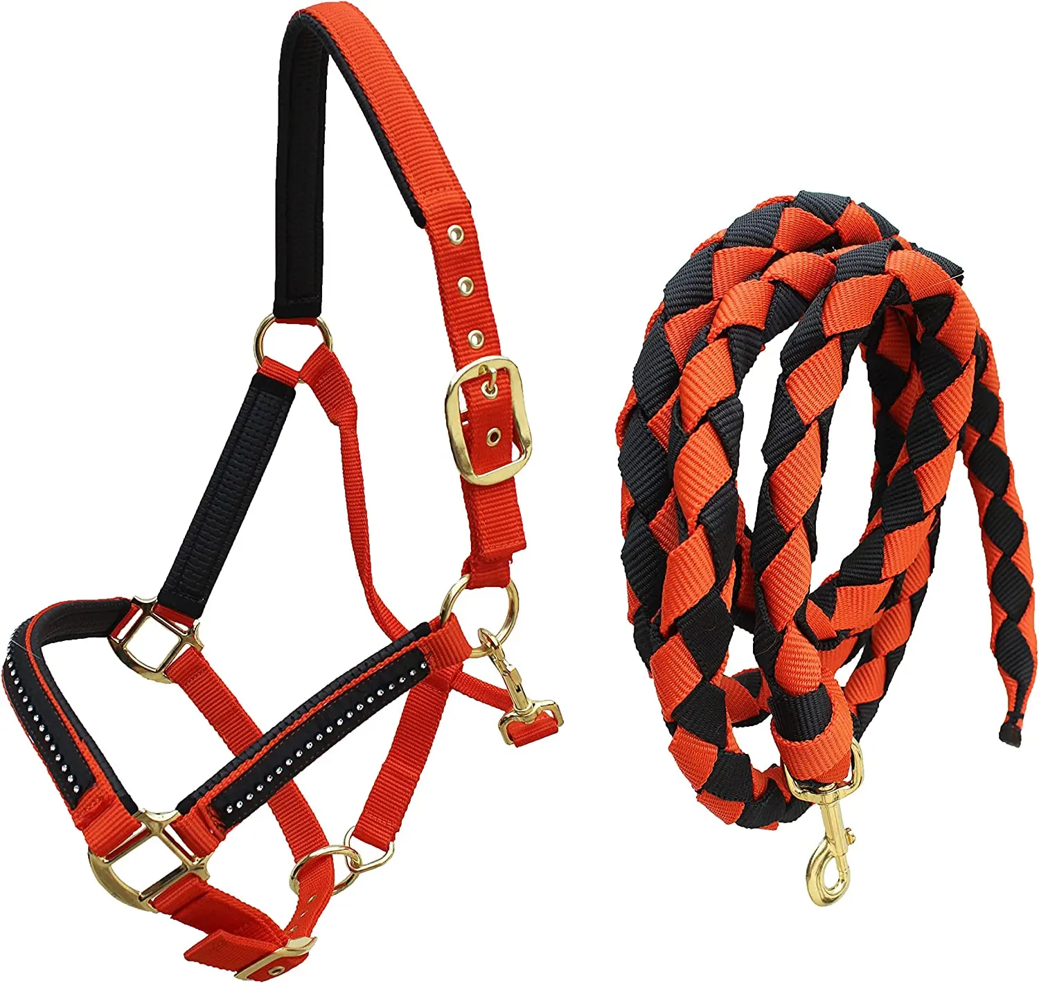 Any Color Deluxe Horse Halter Equine Halters Show Halters For Cob / Full Horses