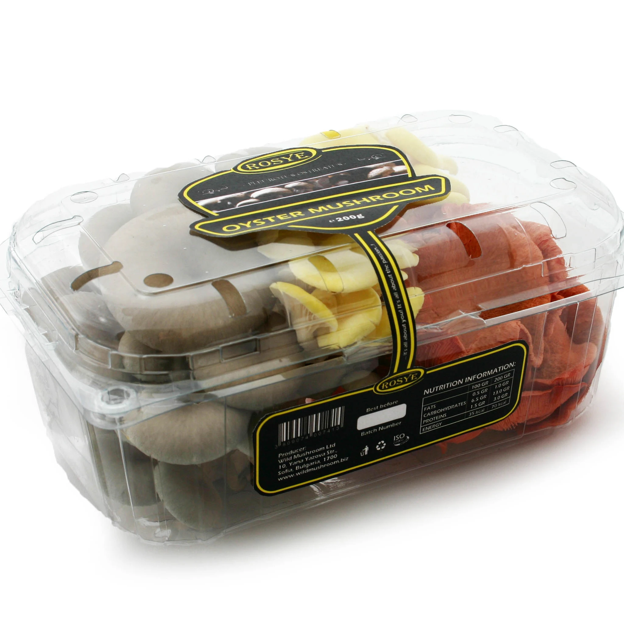 Fresh Oyster mushroom in plastic box. For distributors on retail market. Private labeling on demand