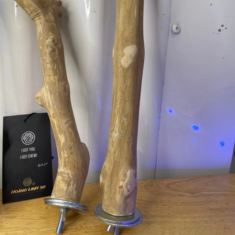 Cheap Price high Quality Java Wood Bird Perch Stand Coffee Wood Branch Perch for Birds HOANG LINH SG Vietnam Origin