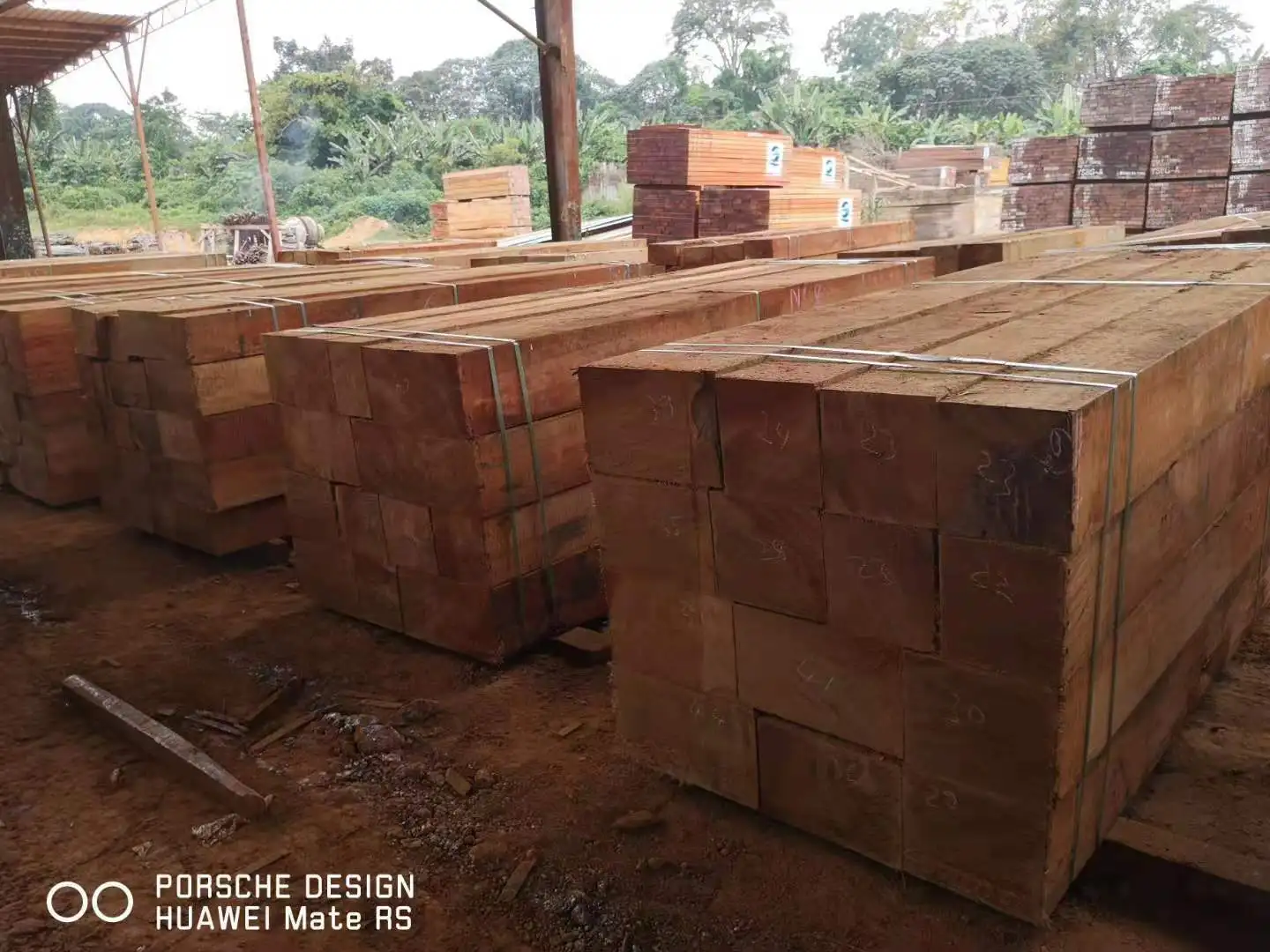 Tali sawn timber from Gabon, High quality with low price