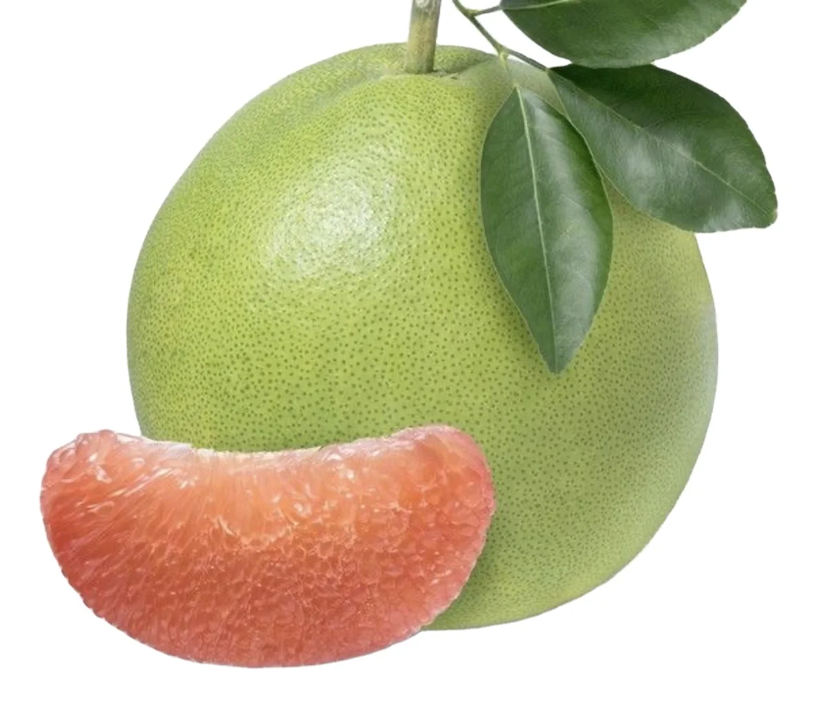 Fresh Fruit 1-1.8 kg/pcs Fresh Citrus Fruit Green skin pomelo grapefruit With pink flesh Brix 10 - 13% In Vietnam