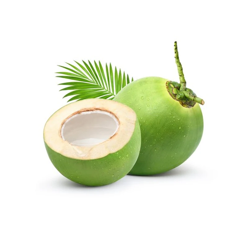 Made in Vietnam FRESH COCONUT high quality good price sample ready to ship origin Ben Tre