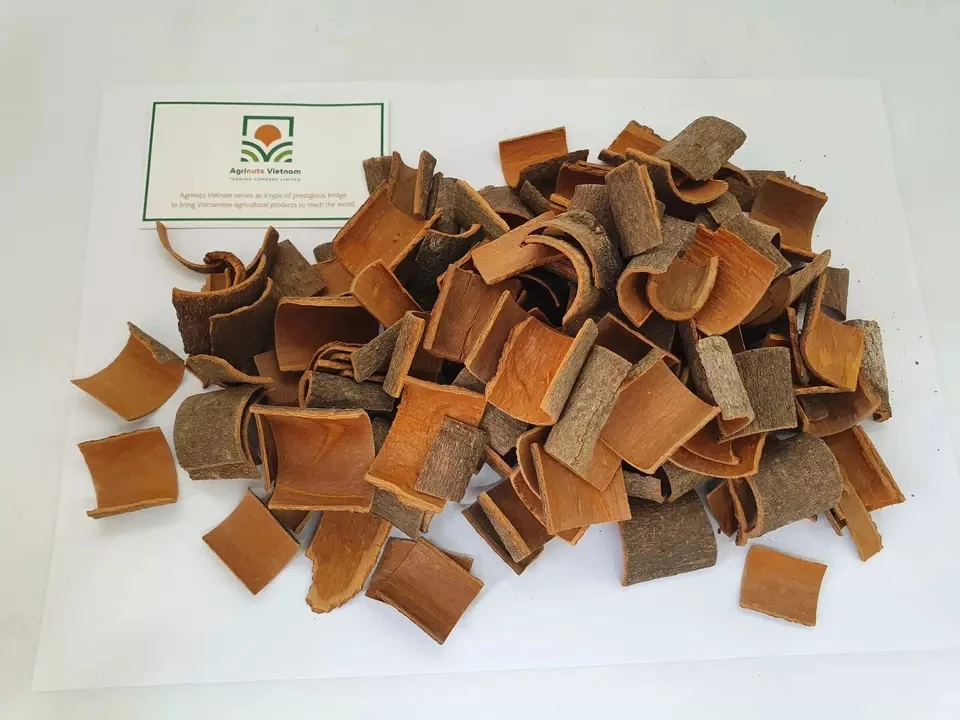 Cassia cinnamon Square Origin Vietnam Cigarette Product With High Quality From Manufacture Good Price