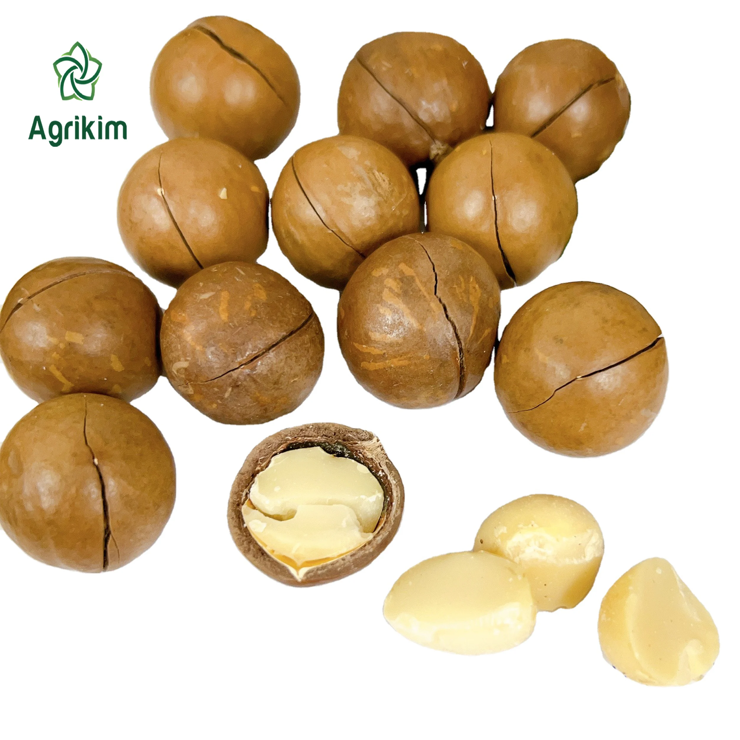 [Free sample] High quality macadamia nuts wih the best price from reliable Vietnam manufacturer +84363565928