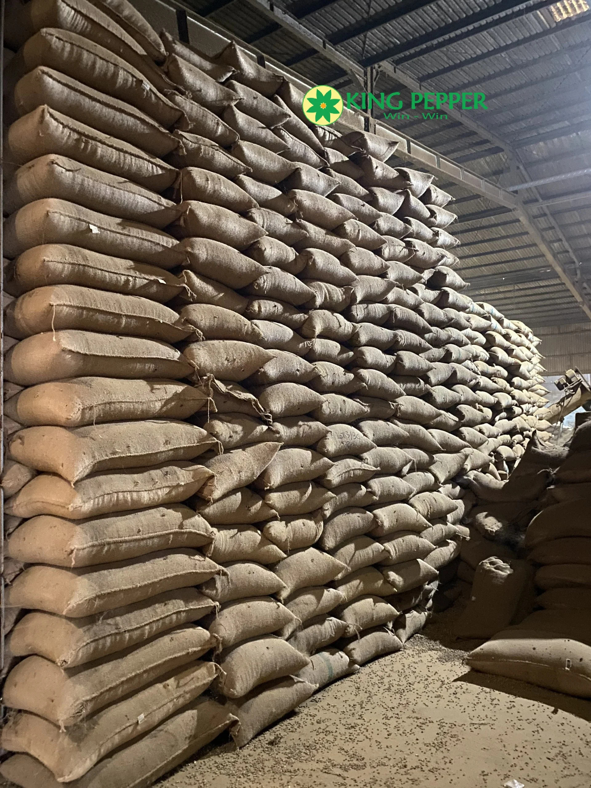 VIETNAM ROBUSTA COFFEE BEANS HIGH QUALITY from King Pepper | Ms Lynn +84333421999 Whatsapp