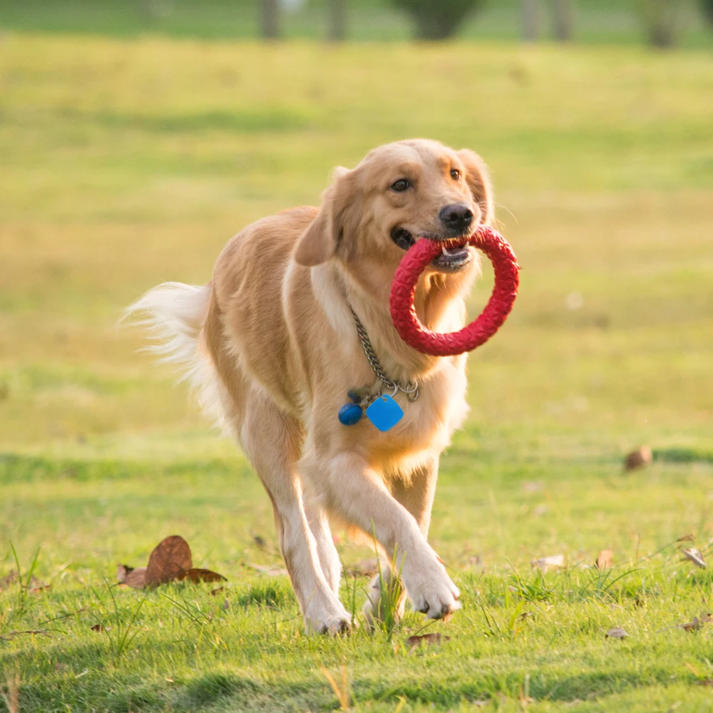 WOONAVIR Customized Wearable Buzzer Lost Alarm BT 5.0 Key Finder for Small Things Wallet Kid Pet Bag Phone