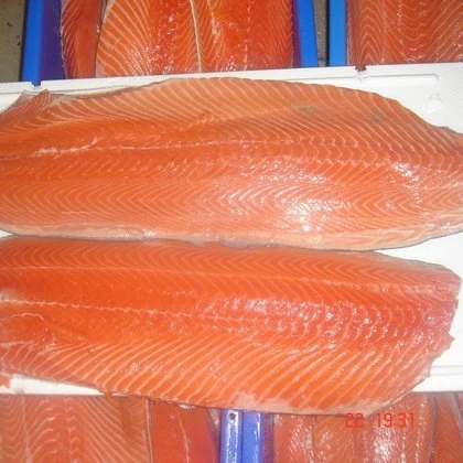 Salmon Skinless Fillet Portions Sustainably Sourced Salmon Sashimi