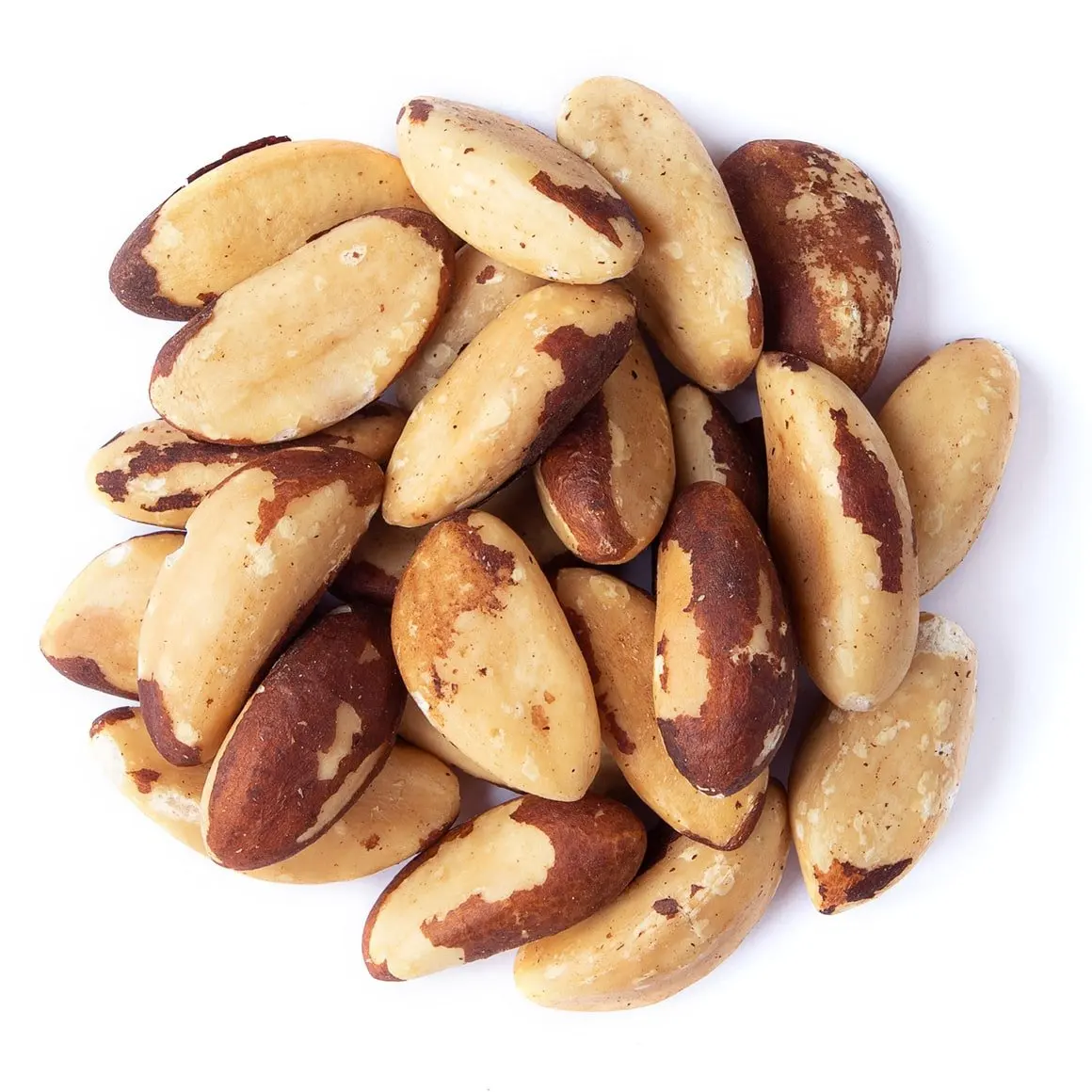 Wholesale Price Raw and Roasted cheap price Brazil Nuts 100% Raw and Roasted Organic Brazil Nuts