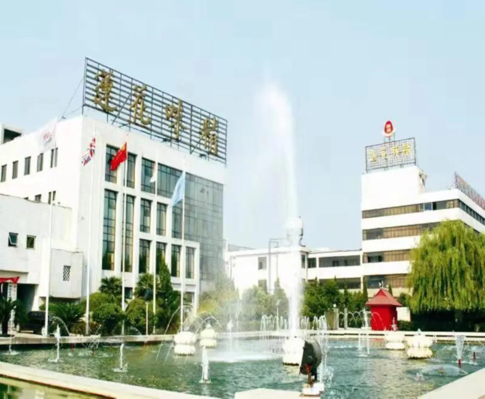 Manufacturer LIANHUA Brand Different Packaging OEM Mono sodium Glutamate MSG