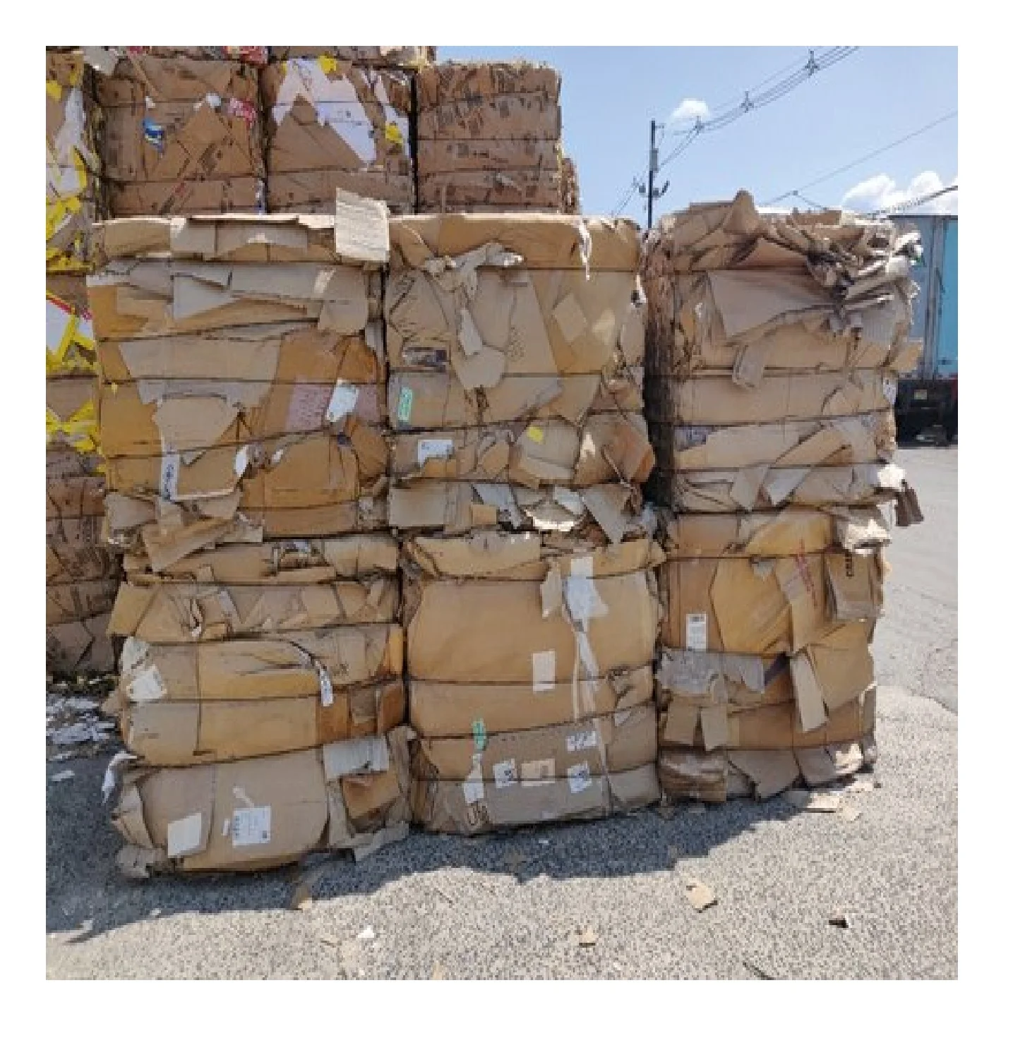 Best Quality Used Cardboard Waste Paper And Selected Occ Waste