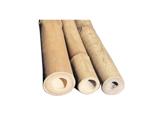 Manufacture Vietnam Polished Bamboo Sticks/ Thick Bamboo Poles Manufacturer for garden farm furniture