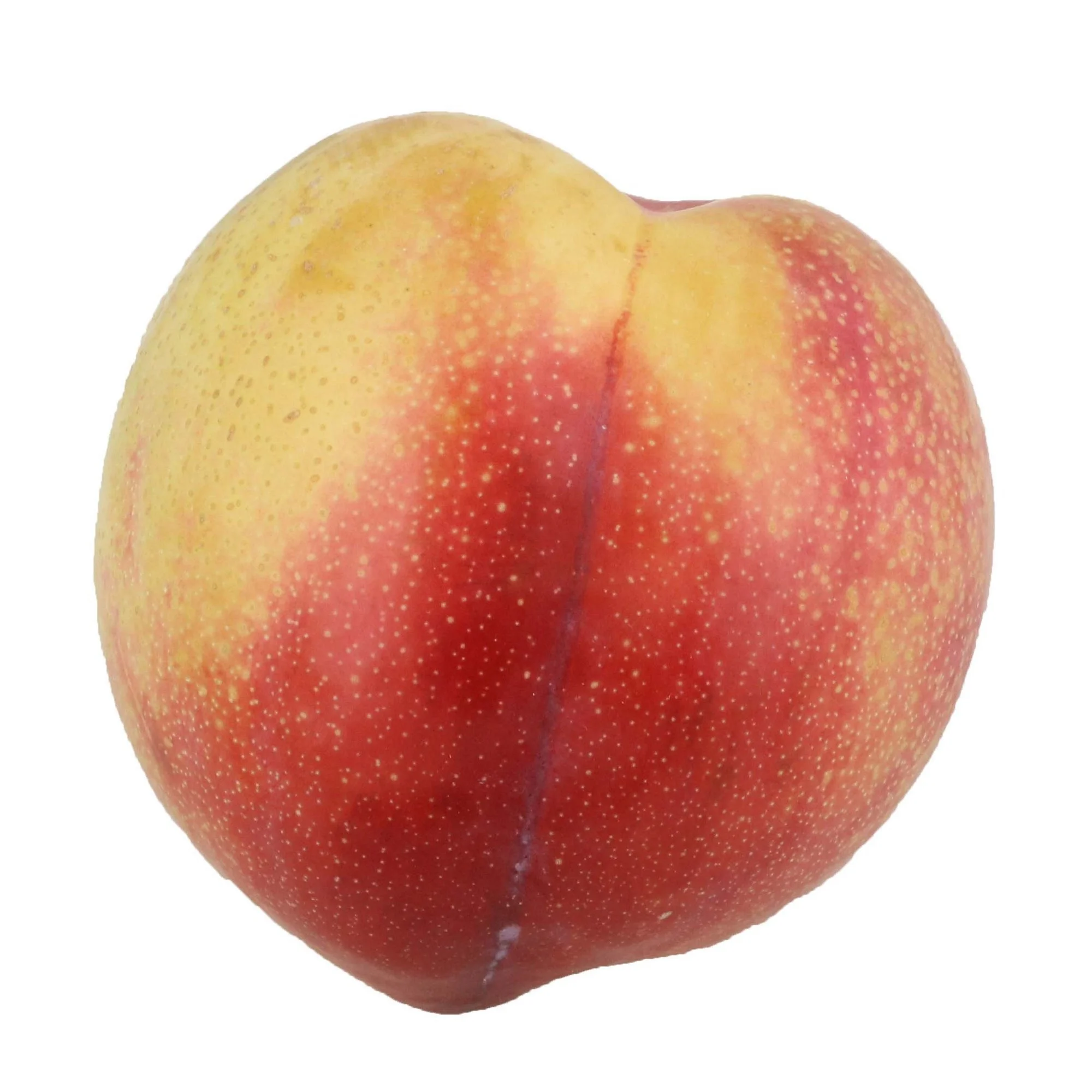 Hot sales price Fresh Plum for sale