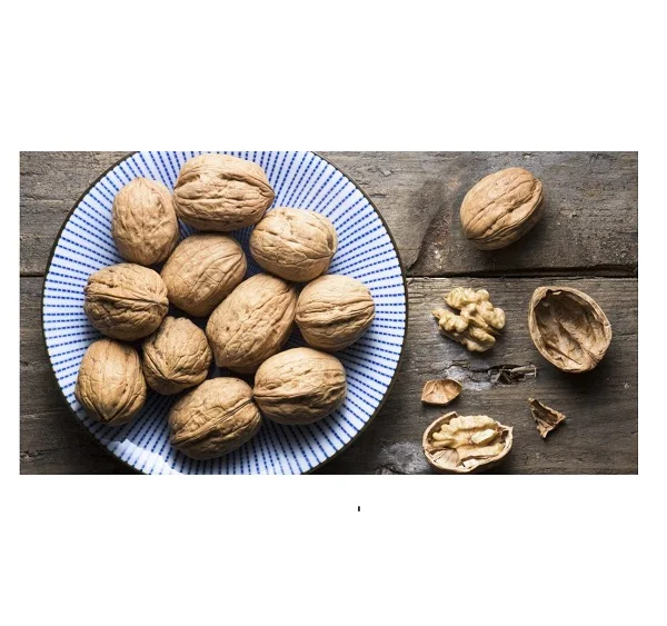 Cheap Walnuts Available for Sale Great for Healthy Snacks and Recipes High Quality Bulk Orders Welcome Today