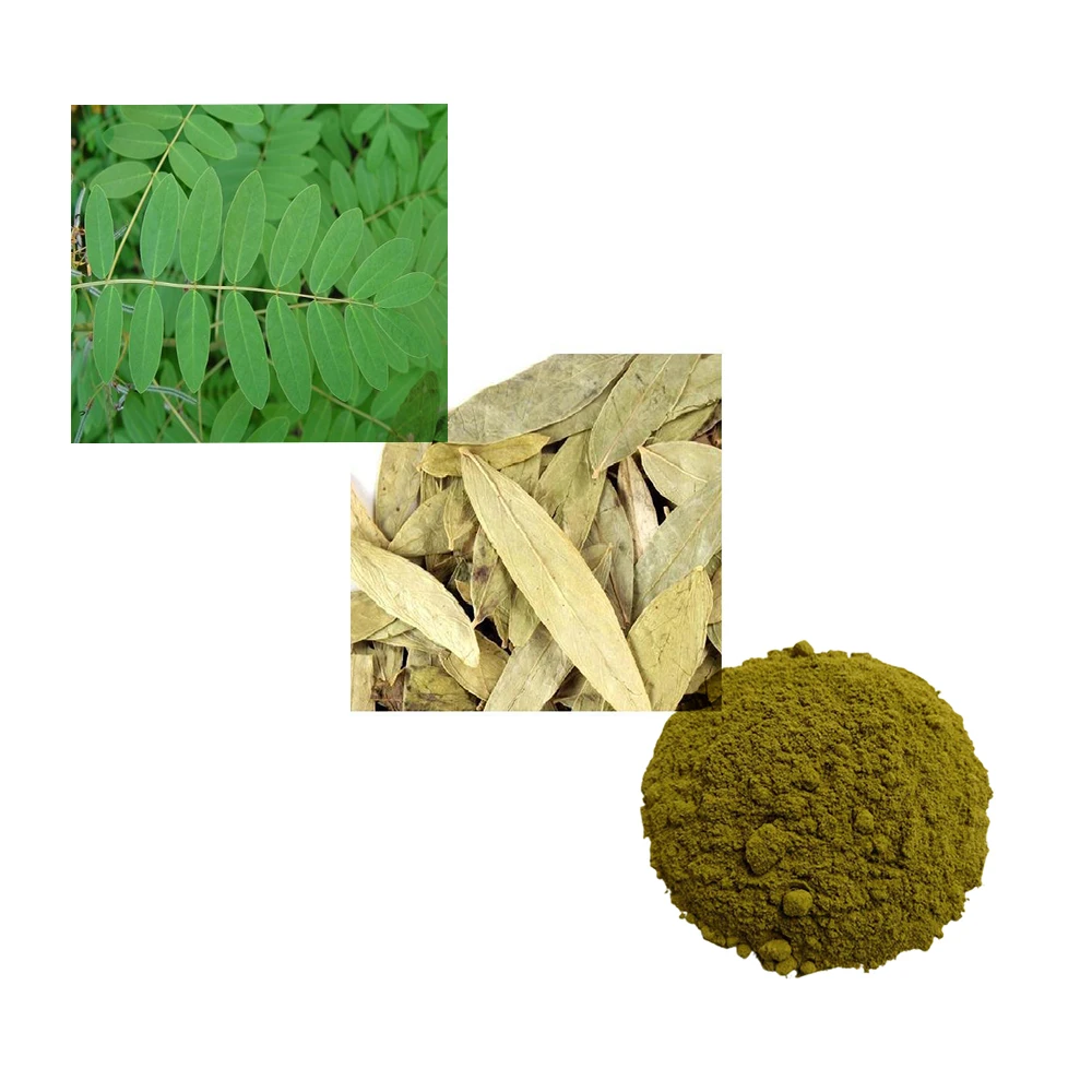 High Quality Raw Herb Senna Leaf Powder Available at Best Price