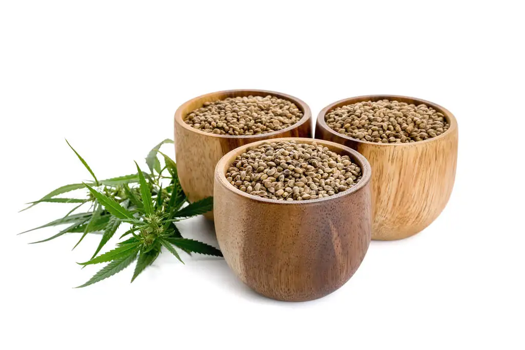Hemp seeds- (Hemp Seeds for Eating | Salad Topping | Roasted)