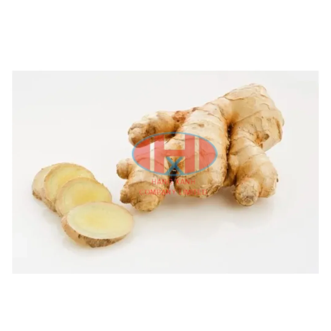 Fresh Ginger from Vietnam- Cheap Wholesale new crop for Cooking and Beauty Care - Whatsapp: +84 346 383 602