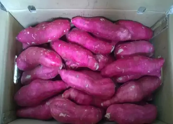 ЖЕЛТЫЙ СЛАДКИЙ КАРТОФЕЛЬ/замороженный сладкий картофель Вьетнам на