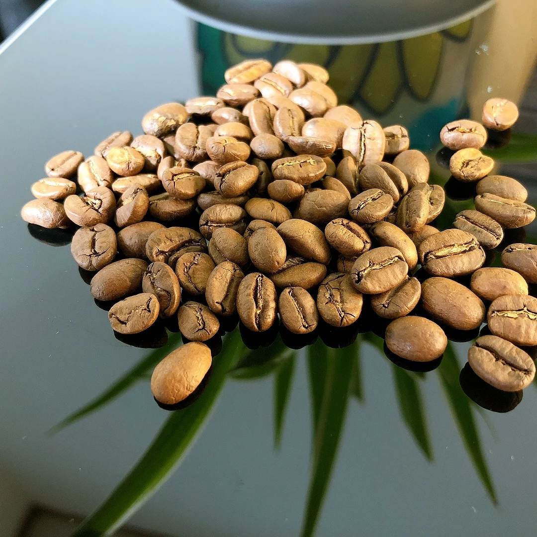 High Quality Robusta Coffee Beans Fully Wash Honey Process Natural from Vietnam Low MOQ 2kg Ready to Ship Competitive Price