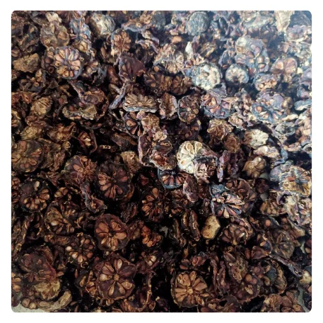 AUTHENTIC DRIED NONI FRUIT - NATURAL WELLNESS SOLUTION WITH RICH FLAVOR AND HEALTH BENEFITS - HOT HOT 2024