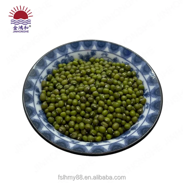 Hot green sprouted broad mung bean