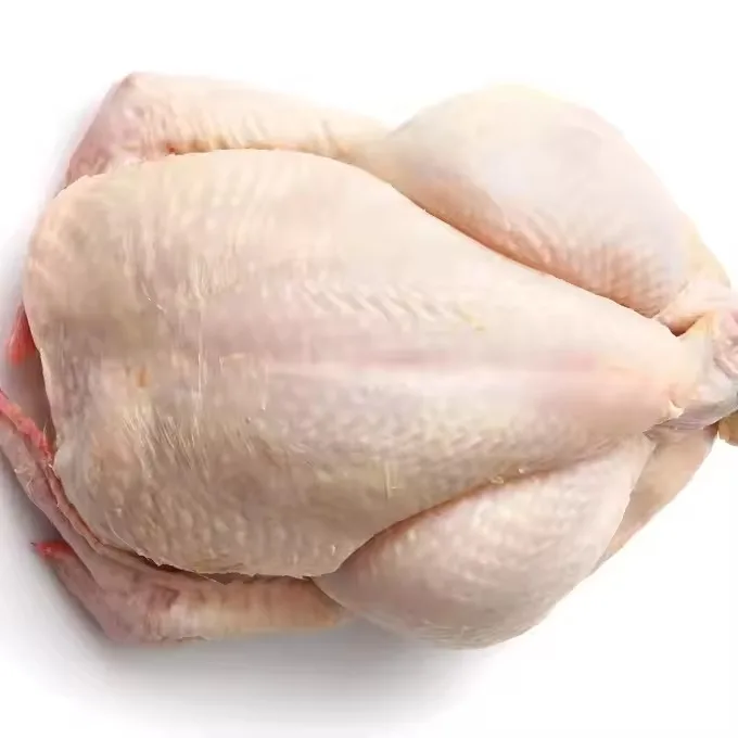 Chicken Breast Meat Cheap Price Low Fat Chicken Frozen Meat Food Wholesale Price Chicken Meat In Bulk Selling