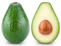 Wholesale 100% Fresh Avocado / Hass Avocado/Fuerte Avocado Fruit For Sale