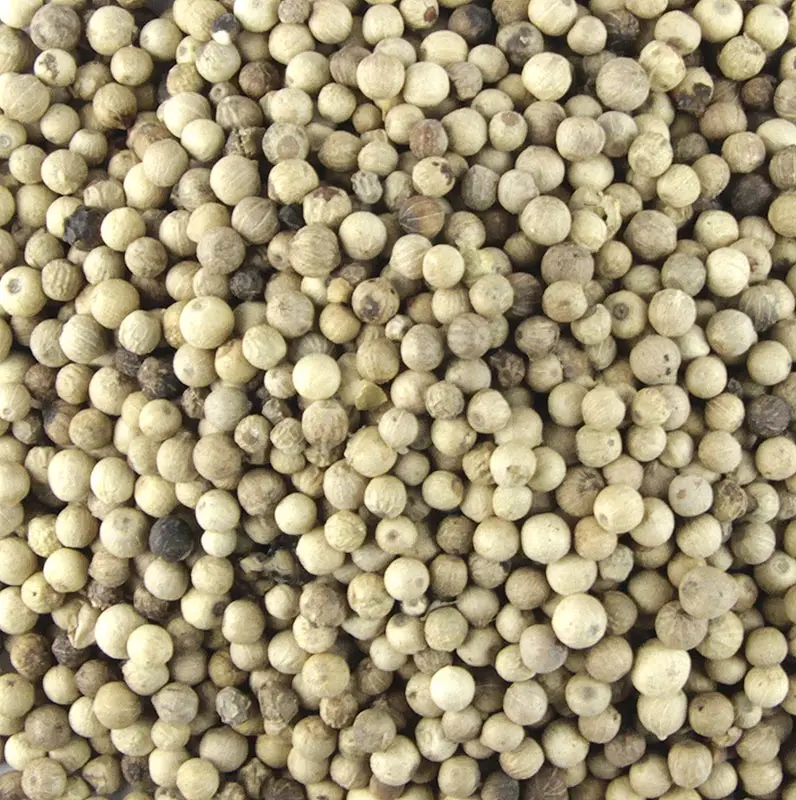White Pepper/ Ceylon white Pepper at best from Sri Lanka/ White Pepper Manufactures - Dried white pepper