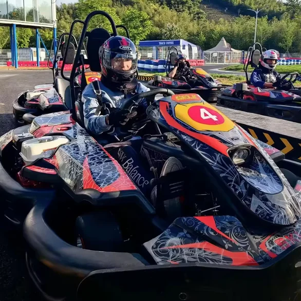 Factory Fast Speed Karting Car Electric Go Kart Cars For Adults