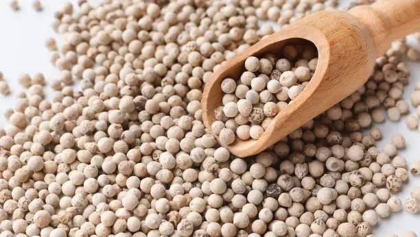 White Pepper/ Ceylon white Pepper at best from Sri Lanka/ White Pepper Manufactures - Dried white pepper
